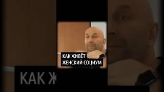 Как живёт женский социум