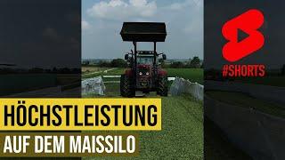 #MF Power auf dem #Silo #landwirtschaft #farming #mais #masseyferguson #shorts