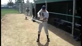 Destreza con el bate de béisbol.