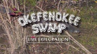 Okefenokee Swamp Live Exploration - Full Episode