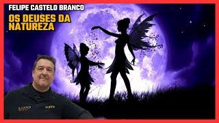 DUENDES, FADAS E ELFOS existem? - [Felipe Castelo Branco]
