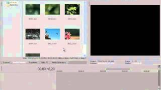 Sony Vegas   29  Регионы