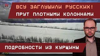 ВСУ заглушили русских, прут плотными колоннами, арта врага не справляется. Подробности из Курщины