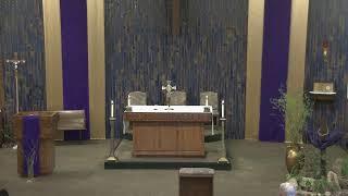 St. Anthony of Padua Novato Live