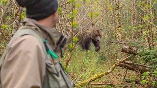 Fishermen Run Into Grizzly Bear and Sight Fish for Steelhead | Captain Quinn