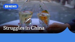 Australian wine industry struggles to re-enter Chinese market | ABC News