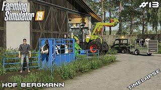 Breeding COWS, PIGS and CHICKEN with @kedex | Hof Bergmann | Farming Simulator 19 | Episode 13