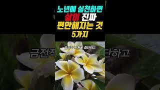 노년에 실천하면 삶이 진짜 편안해지는 것 5가지 #명언 #좋은글 #오디오북 #지혜 #인생조언 #인생명언
