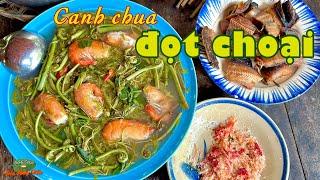 Canh chua đọt choại TÔM CÀNG, món ngon quê mẹ mênh mang đường về| Đặc sản miền sông nước