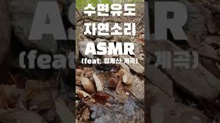 빡쿠남 삶의소리(수면유도-자연소리) ASMR 1편(feat. 청계산 계곡)