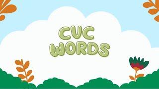 CVC Words | a e i o u | Learn to Read | CVC Reading Lesson 1 |  Mumma Studio