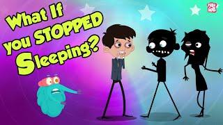 What If You Stopped SLEEPING? | Dr Binocs Show | Peekaboo Kid