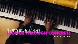 Flower Through Concrete performed by Tony Machani | Official Music Video