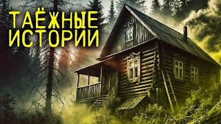 ТАЁЖНЫЕ ИСТОРИИ СБОРНИК | ТРИЛЛЕР | МИСТИКА | ДРАМА