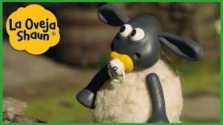 La Oveja Shaun  Temporada 3 Cada Episodio Épico  Dibujos animados para niños 