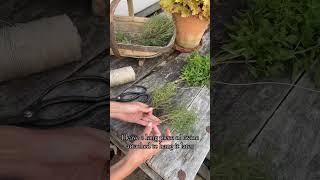 How I dried my own herbs from the Kitchen Garden 🪴  #kitchengarden #slowliving