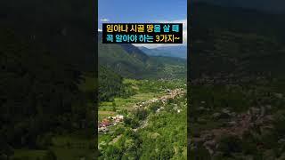밭을 살까? 임야를 살까? 고민 될 때 보면 좋을 영상~ #시골땅 #임야매매  #주말농장 #부동산정보