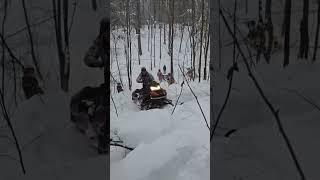 Снегоход snowmobile aodes SNOWCROSS wt 1000 в гору легко #запрудклуб #снегоходы59 #love #like #snow