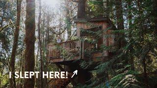 What it’s like to stay at Treehouse Point in Fall City, Washington