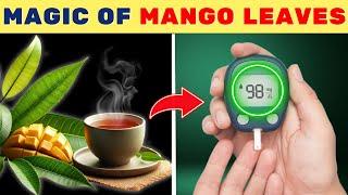 9 Incredible Benefits of Mango Leaves You Wish You Knew Sooner