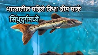 KSR Global Aquarium Sindhudurg Kesari Sawantwadi