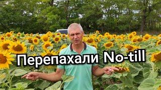 Перепахали Ноутильное поле: вот что получилось.