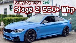 BMW M4 Stage 2 550+Whp with VRSF Downpipes and it Pulls Hard!