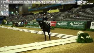 Jennifer Huber & Vito - Adult Amateur Grand Prix Dressage Champions