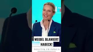  Skandal in der Bundesregierung! Alice Weidel und Tino Chrupalla entlarven Vetternwirtschaft! 