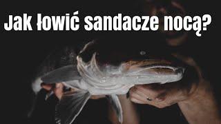 Jak łowić sandacze w nocy?? ▪️ Sandacze po zmroku ▪️ Nocne wędkarstwo spinningowe