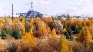 Александр Троценко о встрече 18.03.2014г. в Мінсоцполітики ...