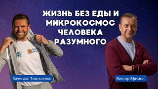 Интервью Виктор Ефимов - Вячеслав Тимошенко. Жизнь без еды и микрокосмос Человека Разумного