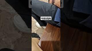 중국 계림에서 야생삼칠화 시음