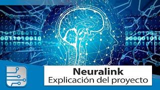 Neuralink, qué es y para que sirve el proyecto de Elon Musk