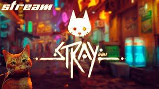 Путешествуем с котиком! | Стрим | Stray