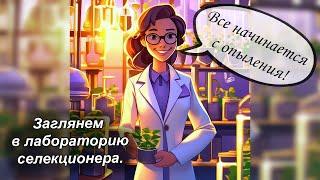 Фиалки - опыление. Как получить новый сорт фиалок.