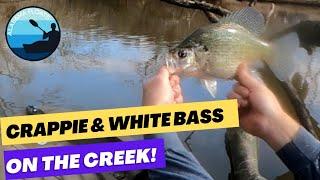 Winter Crappie and White Bass! Kayak creek fishing in North Alabama.