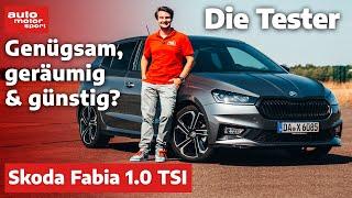 Skoda Fabia: kleiner Allrounder! - Test | auto motor und sport