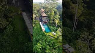 Imagine swimming in the middle of the jungle  #hotel #bali #travel