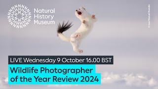 Wildlife Photographer of the Year Review 2024