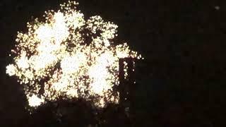 Fireworks! (Bonfire Night 2023)