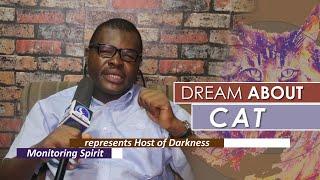 DREAM ABOUT CAT  - Find Out The Biblical Dream Meaning