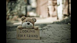 Looking for a Friend