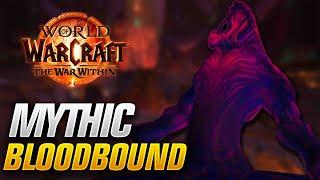 Mythic The Bloodbound Horror Kill! Destruction Warlock POV | Nerub-ar Palace