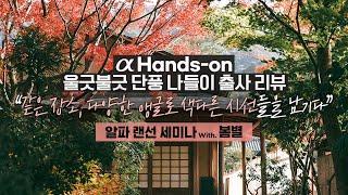  울긋불긋 단풍 나들이 출사 리뷰 | α Hands-on | 봄별 작가 | 4K 알파 랜선 세미나