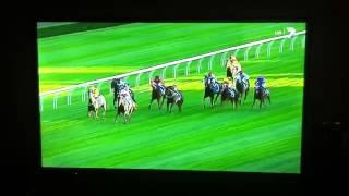 Black Caviar 25th Win Darley Royal Randwick