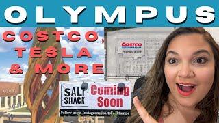 Olympus Development, Costco, Hancock Rd Extension...You Wont Believe What's Next!