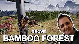 Solo above the Bamboo Forest #PUBG