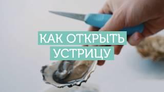 Как открыть устрицу?