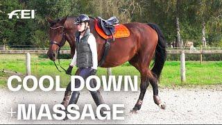 @LaurenAllport  explains the importance of a good cool down | #HealthForHorses